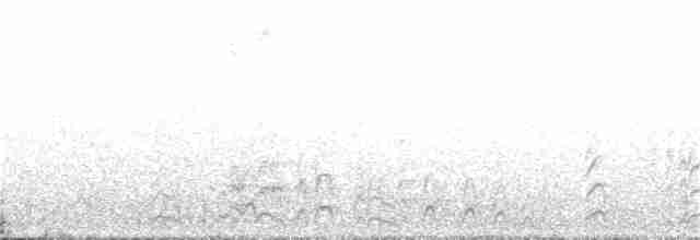Çatal Kuyruklu Fırtınakırlangıcı - ML162351201