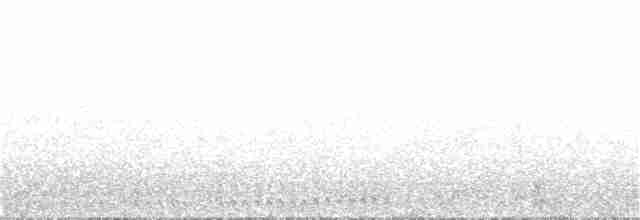 白腰叉尾海燕 - ML162351621