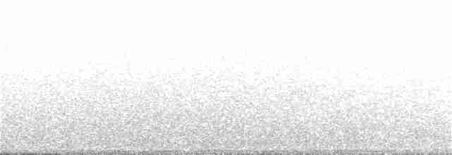 Océanite cul-blanc - ML162352201