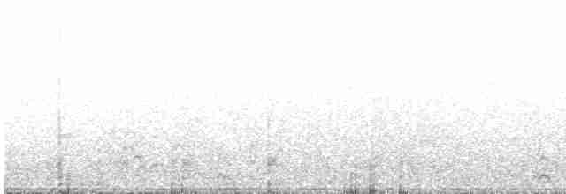 コシジロウミツバメ - ML162352641