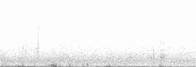 コシジロウミツバメ - ML162352791