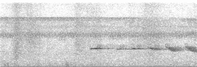 Strichelschulter-Ameisenschnäpper - ML162370171