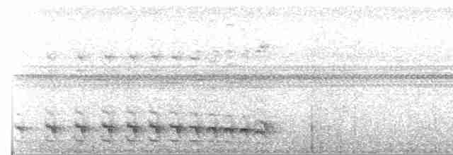 Bar-crested Antshrike - ML162376151