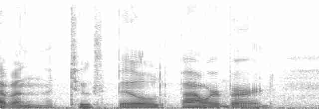 Zahnlaubenvogel - ML16239