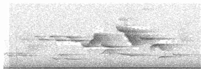 Fan-tailed Warbler - ML162401221