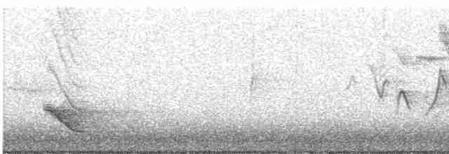 Common Yellowthroat - ML162456411
