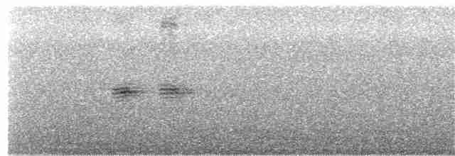 Mirlo Acuático Coroniblanco - ML162498411