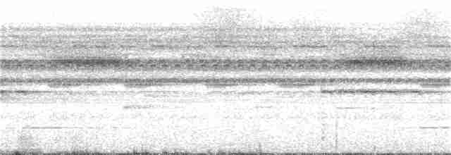 Tinamou de Bartlett - ML162500811