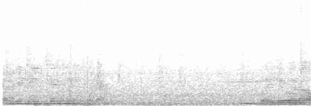 Black-backed Dwarf-Kingfisher - ML162504601