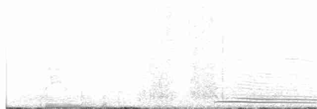 Zino's Petrel - ML162517631