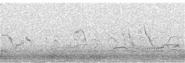 Common Redshank - ML162517791