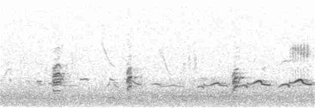 Common Redshank - ML162518281