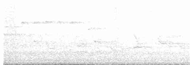 pěnice černohlavá - ML162519271