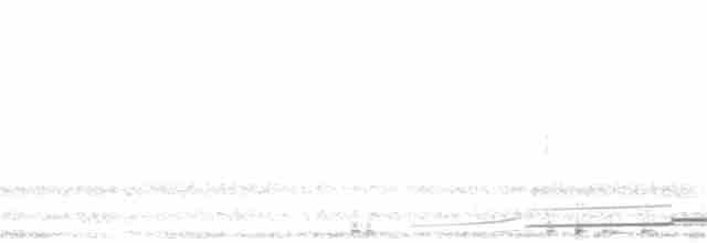 Черноклювая гагара - ML162552621
