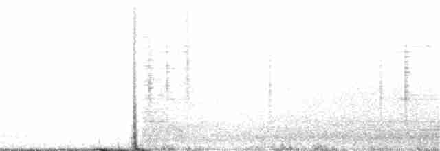 Arctic Tern - ML162646221