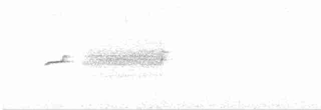 Ockerbürzel-Ameisenfänger - ML162653871
