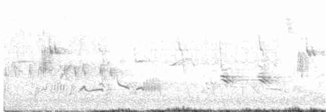 Blyth's Reed Warbler - ML162667571
