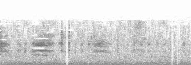 Common Tern - ML162684091