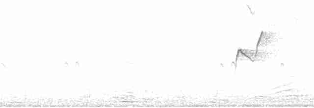 Batı Amerika Sinekkapanı [difficilis grubu] - ML162696001