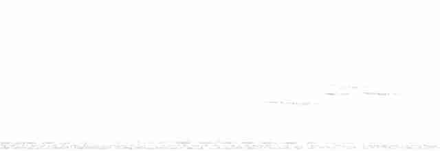 Дрізд-короткодзьоб плямистоволий - ML162696171