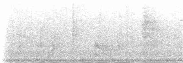 Common Gallinule - ML162708641