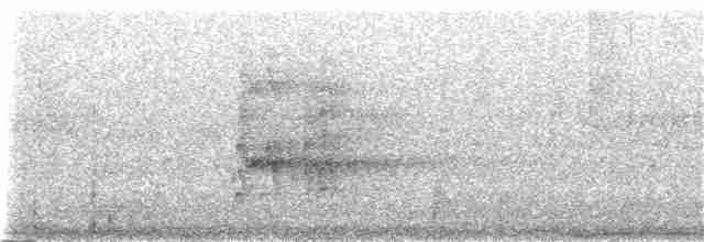 オウム目（インコ科 小さな種） - ML162708821