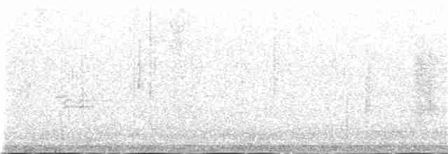 Серогрудая эспаньола - ML162713921