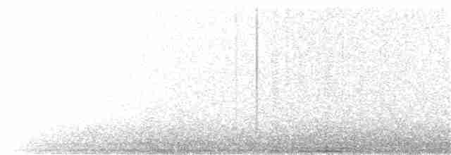 krkavec krátkoocasý - ML162715521