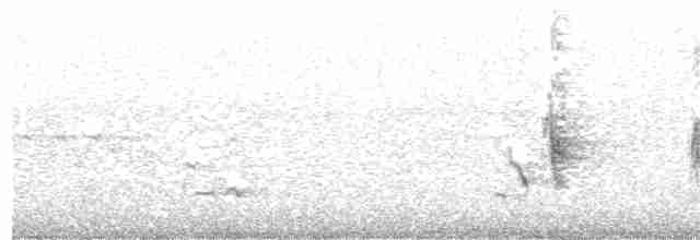 Gray Catbird - ML162747231