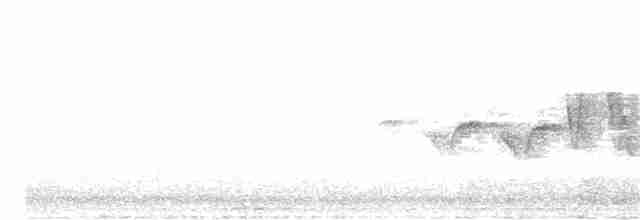 Hooded Warbler - ML162760511