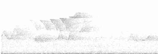 Cerulean Warbler - ML162786791