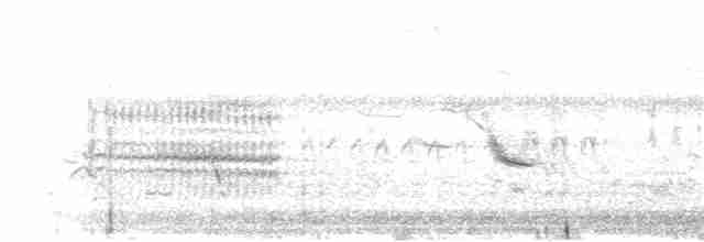Ивовый мухолов - ML162804251