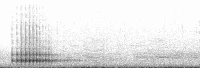 Okil handia (handia) - ML162812