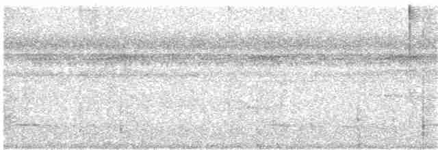 Gözlüklü Yerçavuşu - ML162848771