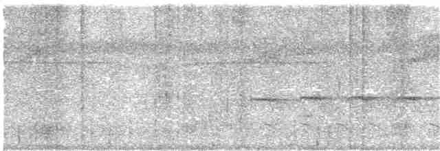 Zeledon Karıncakuşu - ML162848951