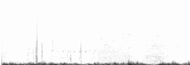Western Meadowlark - ML162851101