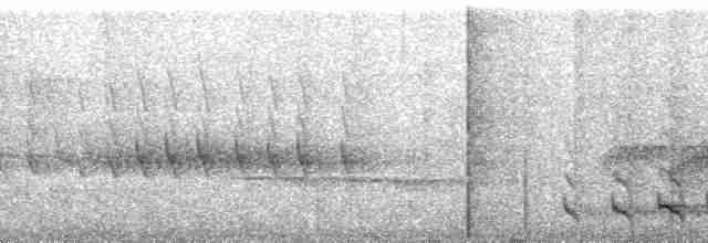 Turuncu Göğüslü Trogon - ML162947