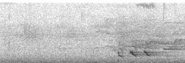 Turuncu Göğüslü Trogon - ML162979