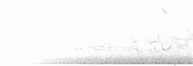 prærielerketrupial - ML163008971