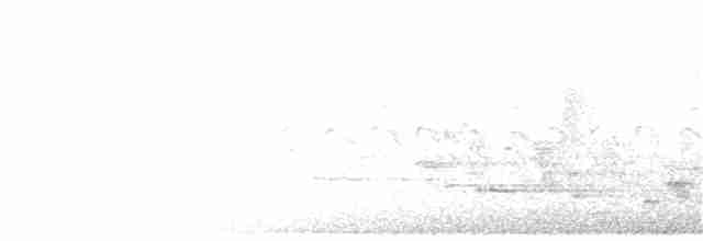 Малая вильсония - ML163010831