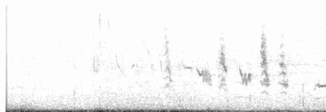 Eastern Orphean Warbler - ML163055291