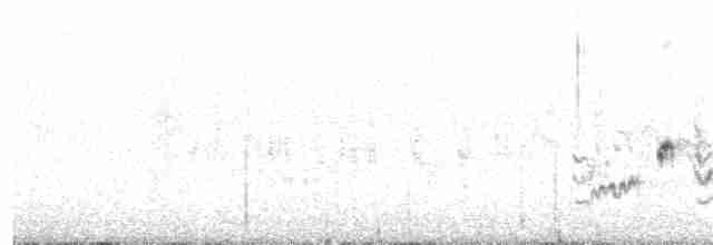 Eastern Orphean Warbler - ML163055361