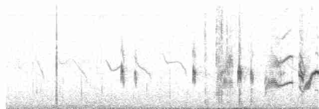 Eastern Orphean Warbler - ML163055421