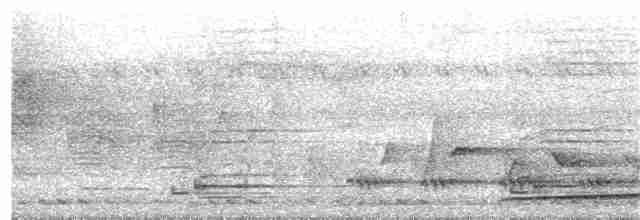Кораловоклювая воронья кукушка - ML163057971