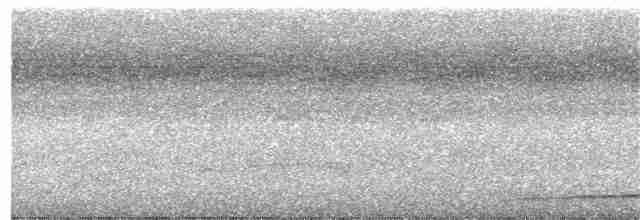 Кораловоклювая воронья кукушка - ML163058581