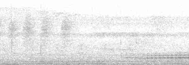 Бурый павлиний фазан - ML163072