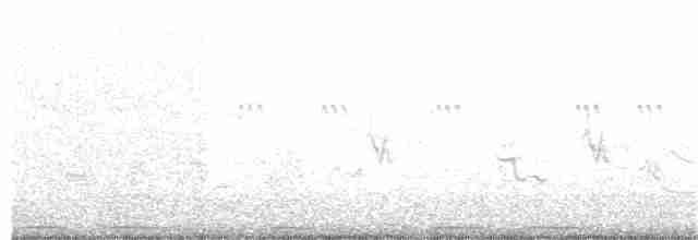 灰斑鳩 - ML163080471