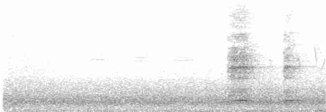 Ring-necked Pheasant - ML163087621