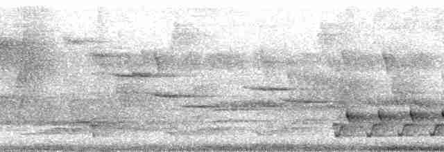 Бурый павлиний фазан - ML163089