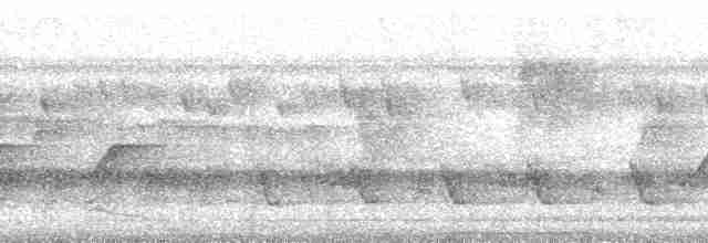 Бурый павлиний фазан - ML163092
